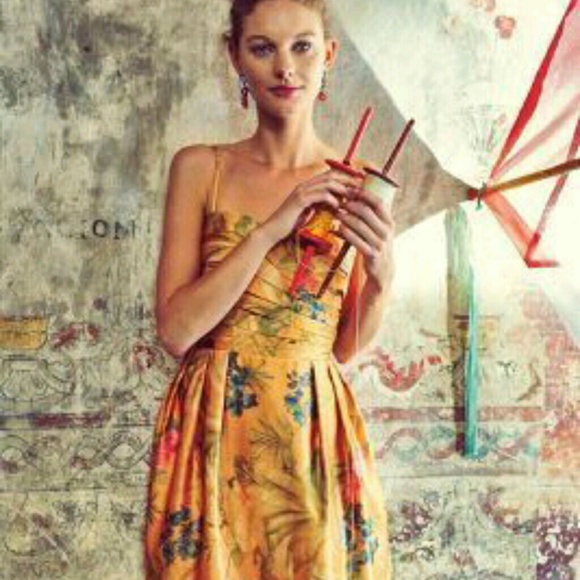 Anthropologie James Coviello Botanica Dress - Picture 4 of 8